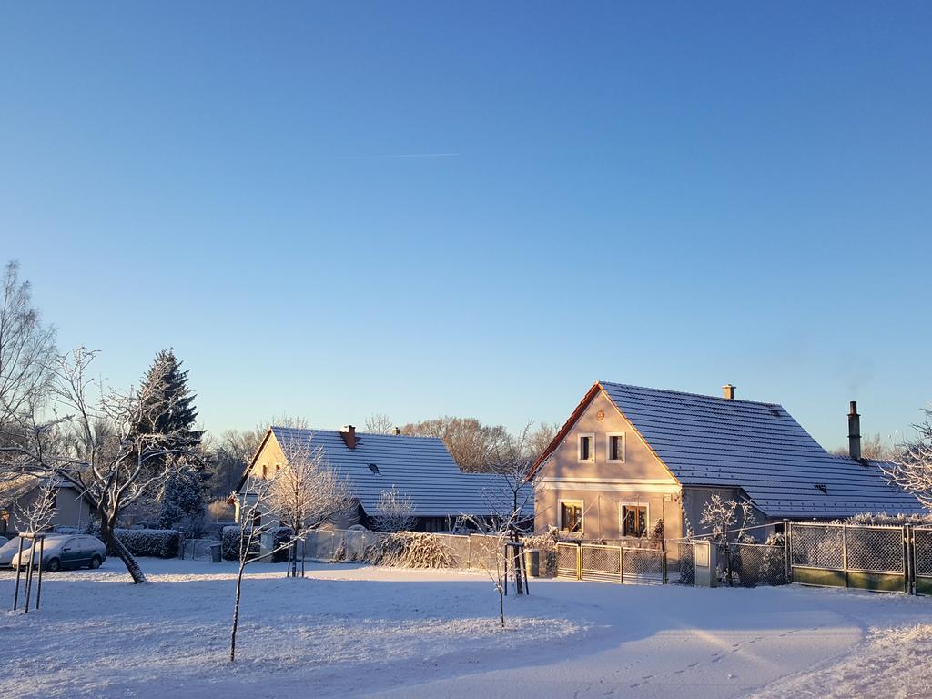 Penzion-Na Navsi Horní Planá Eksteriør billede