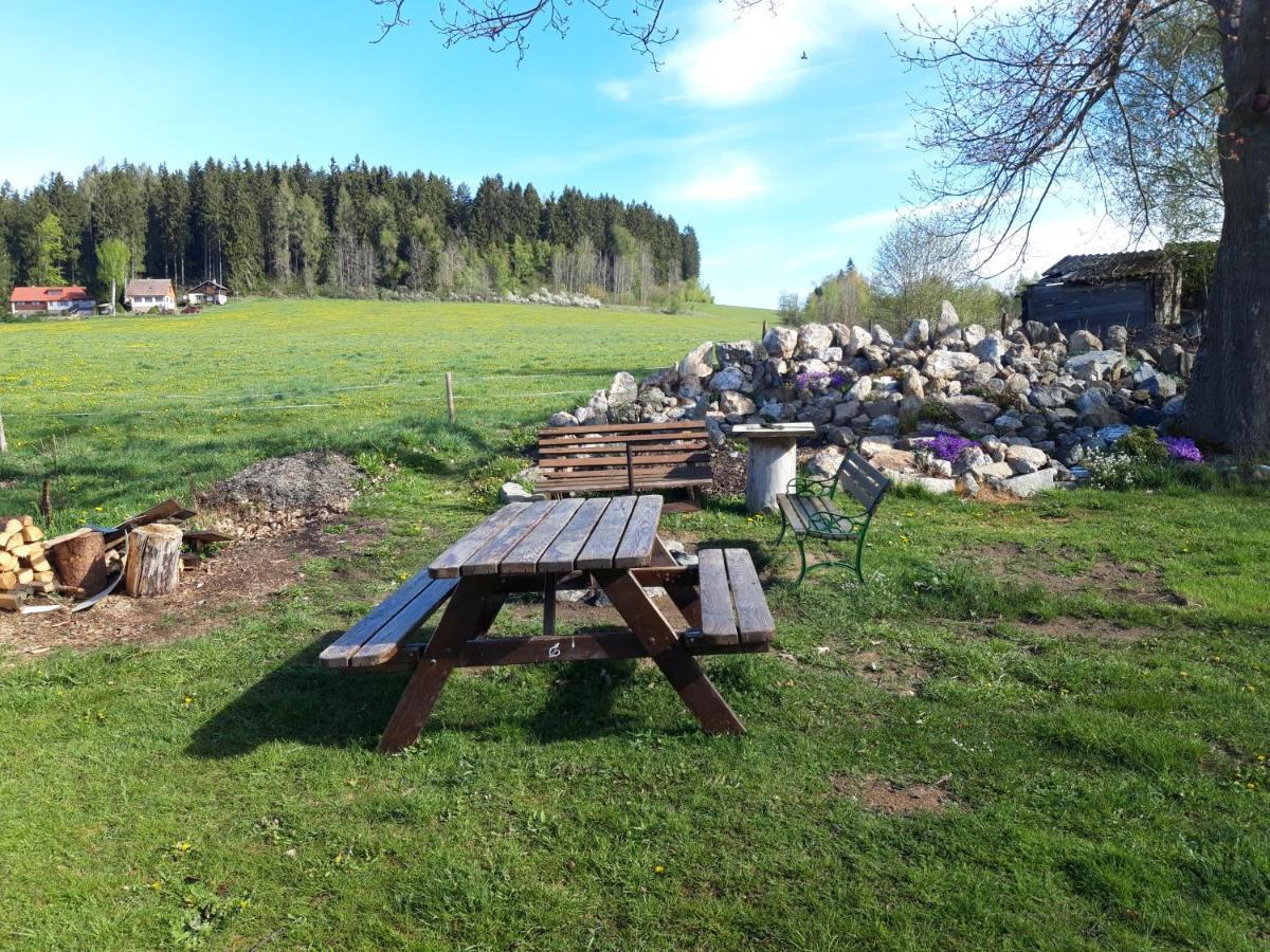 Penzion-Na Navsi Horní Planá Eksteriør billede